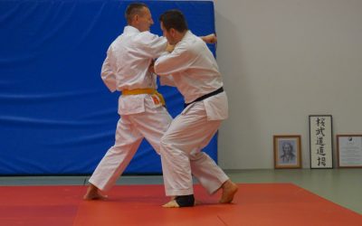 Karatetraining 2