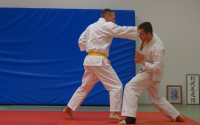 Karatetraining1